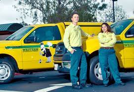 We're proud to call southern california our home. 5 Best Pest Control Companies In Los Angeles Top Pest Control