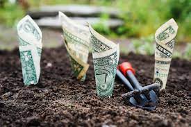Is Buying Nft S Halal Or Haram Crypto Zoya Community
