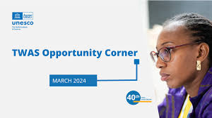 UTSA research seed funding awarded to faculty to spark innovation