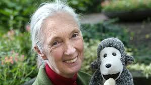 The Inspector General team found errors in 27 of 32 claims it sampled from  just a six-month period last year.