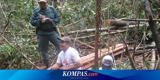 Pronađite vaš idealan izbor smeštaja u našem katalogu. Hutan Melintang