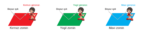 Evi aydınlık gösteren duvar rengi hangisi? Fen Bilimleri Cisimler Hangi Renkte Gorunur