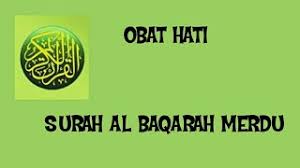وَلَا تَأْكُلُوا أَمْوَالَكُم بَيْنَكُم بِالْبَاطِلِ وَتُدْلُوا بِهَا إِلَى الْحُكَّامِ لِتَأْكُلُوا فَرِيقًا مِّنْ أَمْوَالِ النَّاسِ بِالْإِثْمِ وَأَنتُمْ تَعْلَمُونَ. Hr Bukhari 4154 Bab Surat Al Baqarah Ayat 195 Risalahmuslim