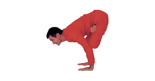 Imgbin is the largest database of transparent high definition png images. Padma Bakasana