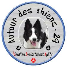 Autour des chiens 29 Comportementaliste et éducateur canin
