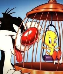 Silvestre Y Piolin Pobre Pajarillo No Tenia Ni Un Segundo De Asueto Best Cartoon Characters Looney Tunes Characters Sylvester The Cat