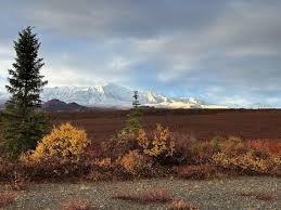 Austin Kettle (@akrite22) • Instagram photos and videos