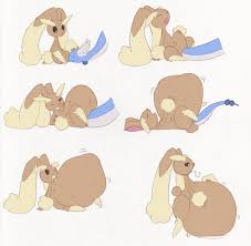 Post 636469: Dragonair Lopunny Porkyman