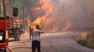 Bölgeye çok sayıda ekip yönlendirildi. Alanya Da Orman Yangini Evler Tahliye Edildi Son Dakika Haberleri