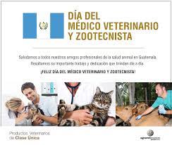 Check spelling or type a new query. Agrovet Market Diadelveterinario Zooctenista Guatemala Facebook