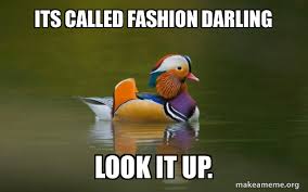 Its Called Fashion Darling Look It Up Fashionable Advice Mallard Make A Meme