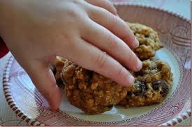Little Hands Oatmeal Raisin Cookies Raisin Cookies Oatmeal Raisin