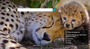 Happy mothers day 2020 images: Google S Mother S Day Logo Is Cactus Plants
