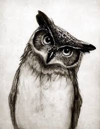 40 Realistic Animal Pencil Drawings Pencil Drawings Of Animals Owl Sketch Owls Drawing