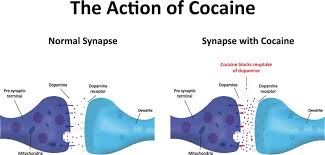 Do You Have A Problem With Cocaine Here S A Big Warning Sign That You Do