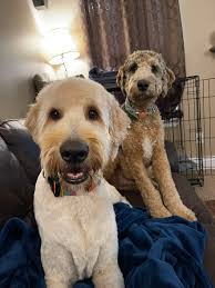 Katie Bittner (@ballergirl14)