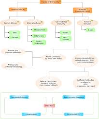 Conceptmap Concept Map Medical Laboratory Science Teaching Biology
