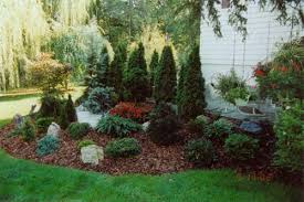 Landscaping Around A Small Patio With Emerald Green Arborvitae Privacy Screen Via Primrose La Landscaping Around Patio Arborvitae Landscaping Patio Landscaping
