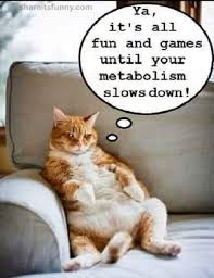 Yes, You Can Reverse Age-Related Metabolism Slowdown—and It's Easier Than  You Think