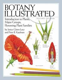 We did not find results for: Botany Illustrated Springerlink
