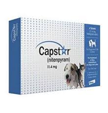 Maybe you would like to learn more about one of these? Parasite Protection For Dogs With The Mdr1 Gene Collie Chatter