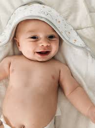 Welcome to the Wild Wild Wes