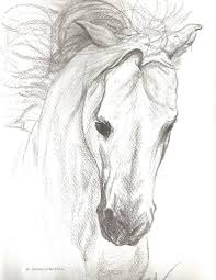 These drawing ideas will can help inspire the next great artist. Horse Drawings To Print Peepsburgh
