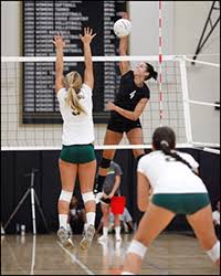 Archbishop Mitty High School