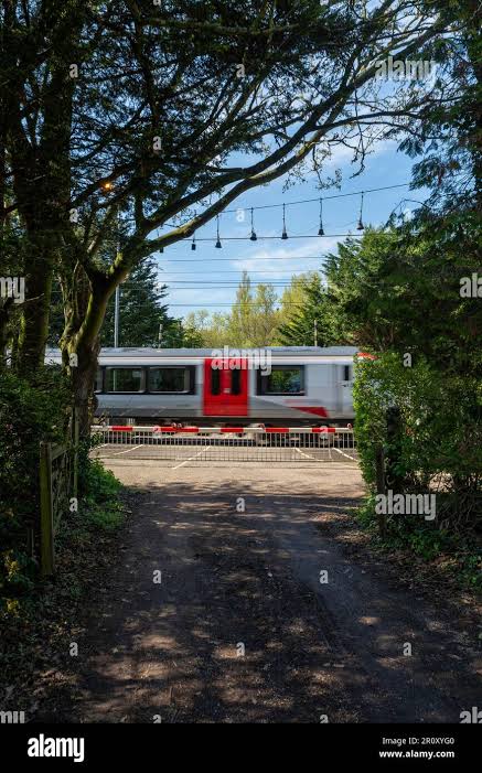 Rural railway level crossing framed by trees. Church Lane crossing in Margaretting, Essex, UK with Greater Anglia train passing. Crossing gates closed Stock Photo - Alamy
