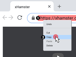(i) you are not at least 18 years of age or the age of majority in each and every jurisdiction in which you will or may view the sexually explicit material, whichever is higher (the age of majority), (ii) such material offends you, or. How To Download Xhamster Videos