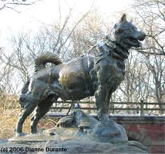 Balto Sculpture In Central Park Zolotistye Retrivery Retriver Sobaki