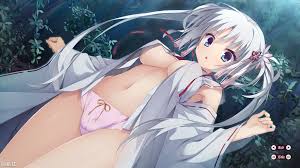 福利ADV 官方中文版 免费下载 绅士必备