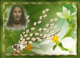 Szósta niedziela wielkiego postu nazywana jest niedzielą palmową, czyli męki pańskiej, i rozpoczyna obchody wielkiego tygodnia. Gify I Wierszyki Niedziela Palmowa Animated Christmas Flowers Easter