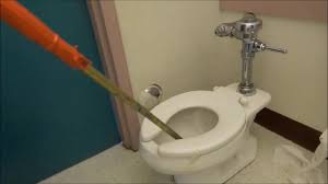 How to unclog a toilet. How To Snake A Toilet Youtube