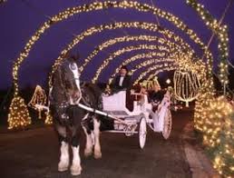 Our Lady Of The Snows Shrine Way Of Lights Belleville Best Christmas Light Displays Best Christmas Lights
