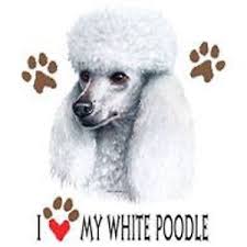 details about white poodle love t shirt pick your size 7 x large to 14x large