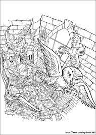 harry potter coloring picture coloriage hibou page de pirate