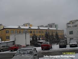 Mai citi si alte nuvele deoarece datorita lor noi intelegem ceia ce inseamna viata,va multumesc mult de rezumat ,iar in primul rind as vrea sa ii multumesc autorului ,,liviu rebreanu pentru aceasta minunata nuvela. Scoala Generala Liviu Rebreanu Mapio Net