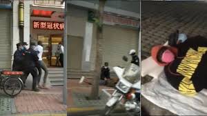 辣資訊 67856 播放 評論 點贊. Ntdtv A102820169 Md At Master Sbhsgd3858 Ntdtv Github