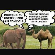 J'ai entendu la meilleure blague au monde : Les Meilleurs Blague Du Monde Home Facebook