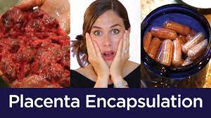 Placenta Encapsulation From Start To Finish Graphic Youtube