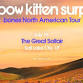 Rainbow Kitten Surprise event in Magna, UT