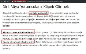 dini ruya yorumculari kopek gormek isaretler kopek hizmetci