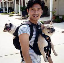 Dog Carriers 8 Baby Bjorns That Ll Brighten Your Day