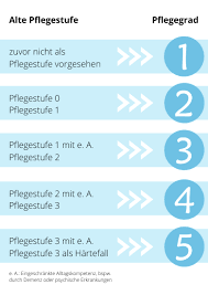 Um leistungen der pflegeversicherung (z.b. Pflegegrad Ersetzt Pflegestufe Alle Leistungen Auf Einen Blick Pflegebox