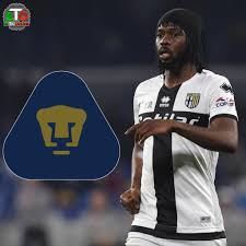 Is he married or dating a new girlfriend? El Tri Online On Twitter Gervinho To Pumas Gervinho Is Leaving Parma At The End Of The Season And His Agent Is Negotiating A Possible Transfer To Pumas Gervinho Pumas