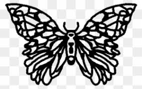 Check spelling or type a new query. Tattoo Ideas Boondock Saints Butterfly Tattoo Free Transparent Png Clipart Images Download