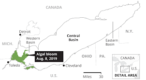 how algae blooms and dead zones form in lake erie