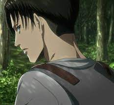 Pin on Attack on Titan <3