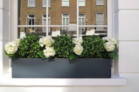 I don't know if the. Artificial Buxus Balls In Polystone Window Box London Planters